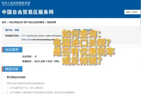 如何查询各国进口关税，和是否有优惠税率或反倾销视频封面