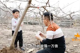 农村4岁宝宝和叔叔去桃园干活，趁机向爷爷邀功，把爷爷逗乐了视频封面