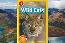 Wild Cats-4 只有通过大量阅读，才能熟练掌握英语词汇和句式视频封面