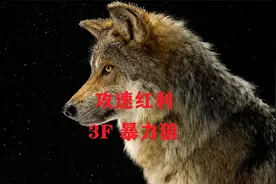 【战斗蜗牛】暗黑2重置版-狼来了！沃德也快起来了？-3F暴力狼