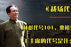 解放战争时，林彪的代号为101，粟裕的代号为502，那毛主席的呢？视频封面