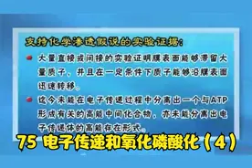 《生物化学与分子生物学》全集 75 电子传递和氧化磷酸化（4）视频封面