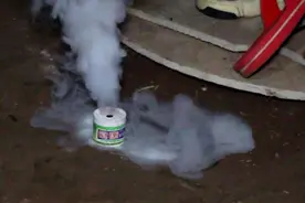 消灭家里的跳蚤，用这个烟雾弹，快速灭跳蚤，连蚊子都没有了