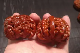 新入手的核桃打底技巧，文玩核桃怎么样盘红的快？