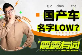 中国人给汽车起名，都这么low吗？｜震震有词视频封面