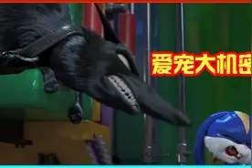 一兔一狗勇闯马戏团，智斗四条恶狼，成功救出白虎！视频封面