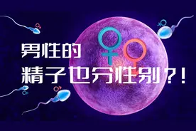 你知道吗？男性精子也分性别，生男生女的秘密就在于此！视频封面