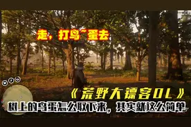《荒野大镖客OL》树上的鸟蛋怎么取下来，其实就这么简单视频封面