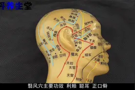 翳风穴功效：利颊，聪耳，正口僻。主治疾病：面瘫，口噤不开等视频封面