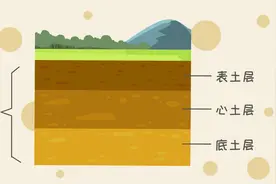 你知道土壤的层次结构分为哪三层吗？
