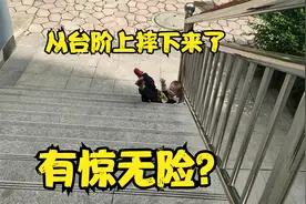 宝妈注意了，都是手机惹的祸？宝宝从台阶上摔下来，有惊无险？视频封面