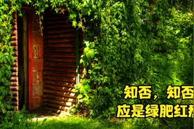 极度解压放松纯音乐.孤单的灵魂，流离失所。视频封面