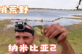 单挑荒野：德爷的纳米比亚之罗非鱼视频封面