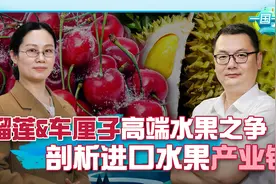 中国不缺人不缺地不缺钱，为何打造不出智利车厘子这种爆款水果？视频封面