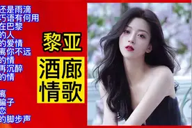怀旧经典：黎亚酒廊情歌14首联唱视频封面