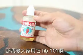 养花快养死了怎么救？园艺师教你，用HB101拯救它，什么花都通用