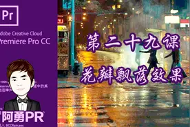 阿勇pr课堂 视频教程 第二十九课 运动位置案例：花瓣飘落效果