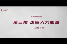 走进武汉中小企业《小巨人大能量之纵横天地》视频封面