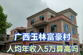广西玉林富豪村，50万以上的别墅有100栋，人均年收入5万算高吗？视频封面