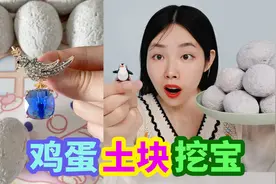 鸡蛋土块里有“宝石小鸟”！带上它能吸引小鸟，挖开12个会有吗？视频封面