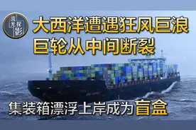 巨轮遭遇风暴从中间断裂，集装箱成为盲盒引岸边群众狂欢视频封面