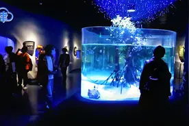 “迟来的春节”！滨海新区推海洋文化旅游活动，吸引游客“打卡”视频封面