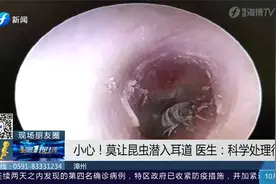 吓人！熟睡时蟑螂钻进耳朵，竟还在耳道内产卵！视频封面