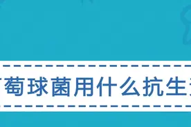 感染葡萄球菌会导致什么疾病？用什么抗生素治疗呢？视频封面