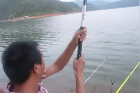 野钓翘嘴，我只需换用这翘嘴钓法，百试百灵，钓到天黑都不想收竿视频封面