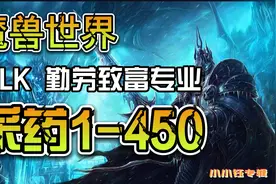 魔兽世界怀旧服 WLK 80级 勤劳致富专业【采药1-450】攻略视频封面