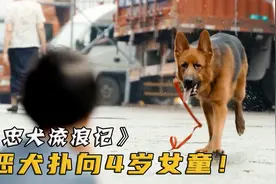 恶犬扑向4岁女孩，流浪狗冲上前去保护，却被狗主人打断腿！电影视频封面