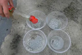 家鼠成灾，真心捏一把汗，还好有土方法，老鼠来一只消灭一只视频封面