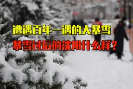沈阳遭遇自1905年以来最强降雪，暴雪过后的沈城什么样？令人欣慰视频封面