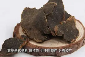 生地黄的功效与作用 (1)视频封面