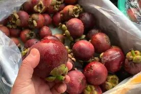 活了40年，今天才知道山竹剥壳，原来这样简单，又快又不脏手