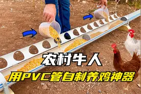 农村牛人用PVC管自制养鸡神器，节约粮食也省时省力，太实用了！视频封面
