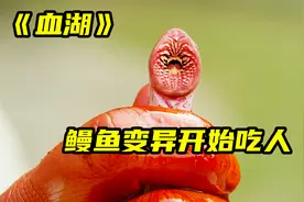《血湖》鳗鱼成精了，长满锋利牙齿，吃人不用吐骨头视频封面
