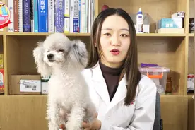 小母狗发情了应该怎么办？视频封面