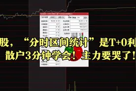 炒股，“分时区间统计”是T+0利器，散户3分钟学会！主力要哭了！视频封面