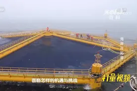 一次性养殖150万条深海三文鱼!世界最大超级渔场太夸张|实验现场视频封面