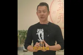 【潮菜叶飞】潮汕咸酸梅，生津止渴，消食开胃，不二选择喔！赞！