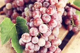 月经期应该注意什么？能吃葡萄吗？视频封面