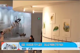 社会实践“打卡盖章”，别让证书限制了孩子成长视频封面