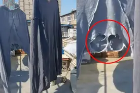 女子天台偷晒老公秋裤，裤裆上2个窟窿让网友笑喷：已婚男人现状视频封面