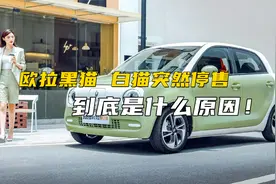 欧拉黑猫、白猫车型突然停售，到底是什么原因？视频封面