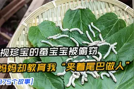 如今我的生活和工作顺风顺水，感恩妈妈教我的3条做人原则视频封面