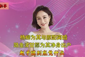 两次爱上已婚男人，网文鼻祖路金波为其净身出户，赵子琪有何魅力视频封面