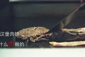 偏僻小镇特产汉堡肉饼，顾客吃了赞不绝口，原材料很吓人悬疑片视频封面