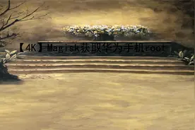 【4K】Magisk获取华为手机root【转载】