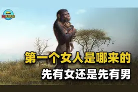 人都是女人生的，那第一个女人又是从何而来？科学家给出答案视频封面